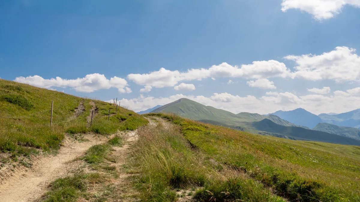 Explore the stunning meadows and mountains on a summer hike in Arosa, Switzerland.